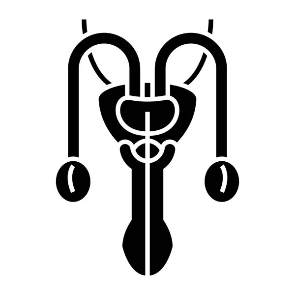 男性生殖器のアイコン、ベクトル図では、孤立の背景に黒い印 — ストックベクタ