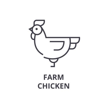 çiftlik tavuk satırı simgesi, anahat işareti, doğrusal sembolü, vektör, düz illüstrasyon
