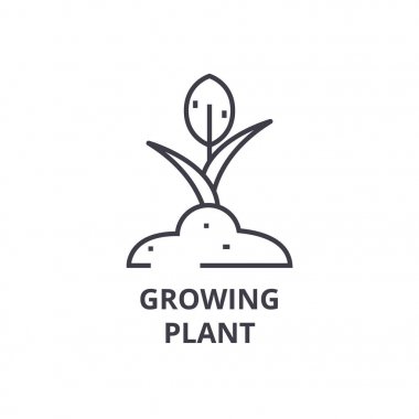büyüyen bitki satırı simgesi, anahat işareti, doğrusal sembolü, vektör, düz illüstrasyon