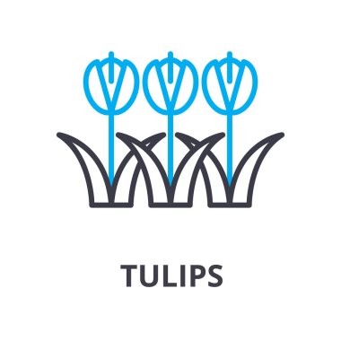 Lale çiçek ince çizgi simgesi, işaret, sembol, illustation, lineer kavramı, vektör 