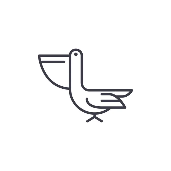 Pelican vector line icon, sign, illustration on background, editable strokes — Vector de stock