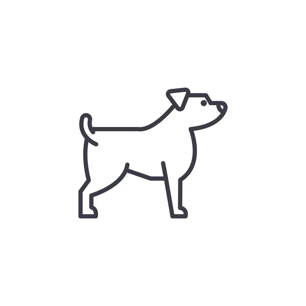 Jack russell terrier vektor ikon, tecken, illustration på bakgrund, redigerbara stroke — Stock vektor