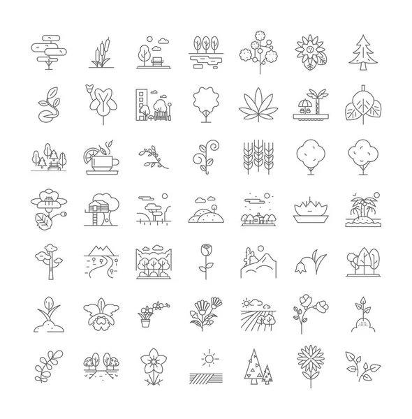 Растения и сад линейные иконки, знаки, символы векторные линии иллюстрации набор — стоковый вектор