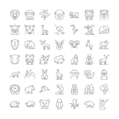 Vahşi doğa doğrusal simgeleri, işaretler, semboller vektör çizgisi çizimi