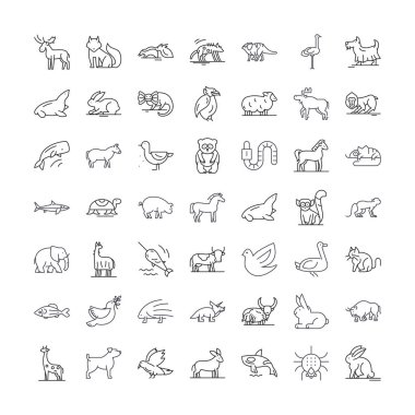 Vahşi yaşam doğrusal simgeleri, işaretler, semboller vektör çizgisi çizimi