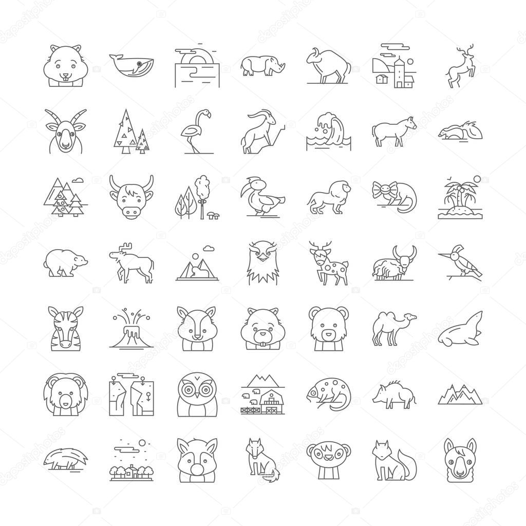 Wild animals linear icons, signs, symbols vector line illustration set