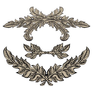 Yaprakları ile Barok eğri dal. Beyaz arka plan üzerinde tasarım öğesi.