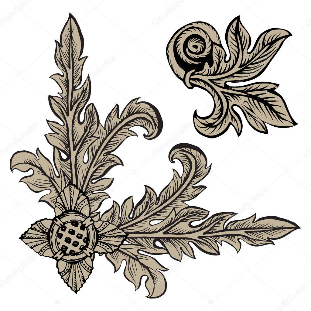 Baroque curved branch with leaves. Design element on white background.