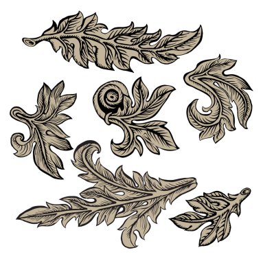 Yaprakları ile Barok eğri dal. Beyaz arka plan üzerinde tasarım öğesi.