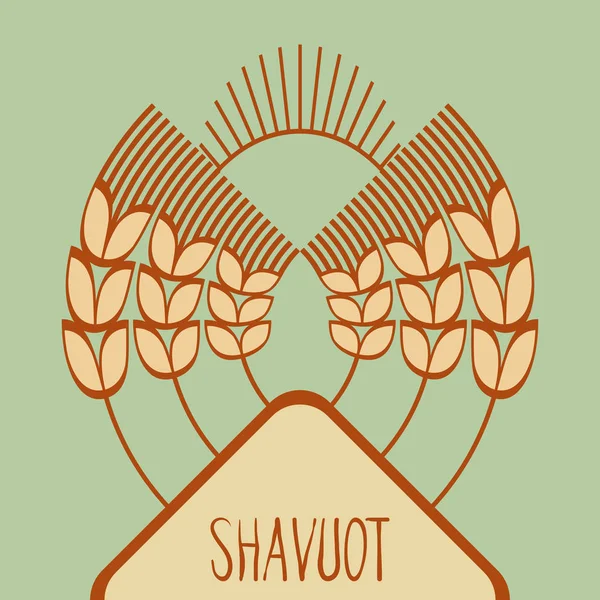 Dekorative Kornähren, um Designkompositionen zu schaffen. der jüdische Feiertag von shavuot. Symbole der Ernte und der Landwirtschaft. Goldene Ähren schmücken Ihr Produkt. — Stockvektor