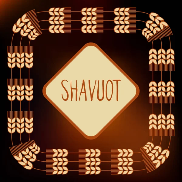 Hojas de grano decorativas para crear composiciones de diseño. La fiesta judía de Shavuot. Símbolos de la cosecha y la agricultura. Las espigas doradas de trigo decorarán tu producto . — Vector de stock