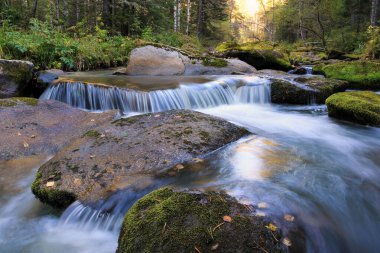 Mountain Creek. Belokurikha nehrinin akışı. Altai inanılmaz güzel bir yer.!