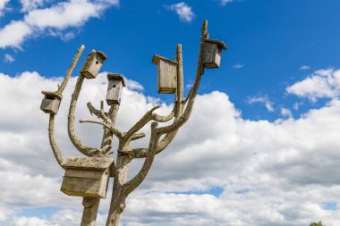 Ahşap tedavi ağaçta kuş kutuları