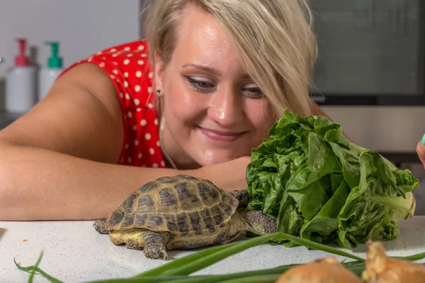 Genç kadın ona bakar iken Roma salata yemek kaplumbağa