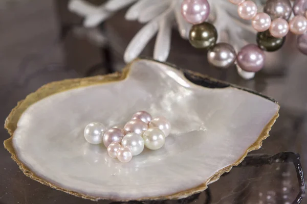 Multicolor of pearls — Stock Photo, Image
