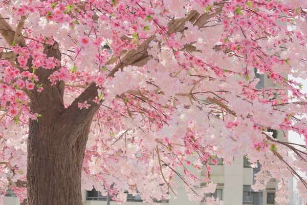 şehrin pembe çiçeği