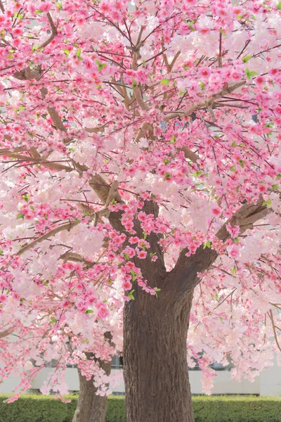 kasabada çiçeklenme