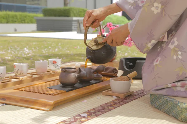 Японский чай под сакурой — стоковое фото