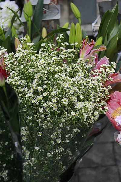 Cutter flower bouquet — Stock Photo, Image