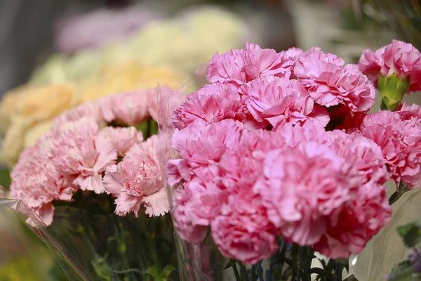 Pink carnation bouquet — Stock Photo, Image