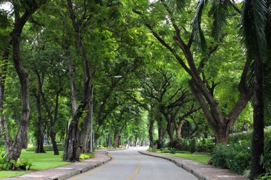 bir geçit kamu Park