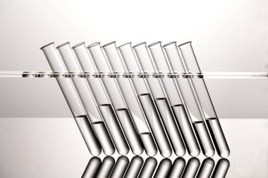 şeffaflık bir rqw içinde