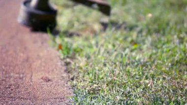 Çim biçme makinesi olan adam. 