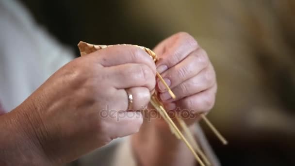 Les mains masculines tissant avec de la paille — Video