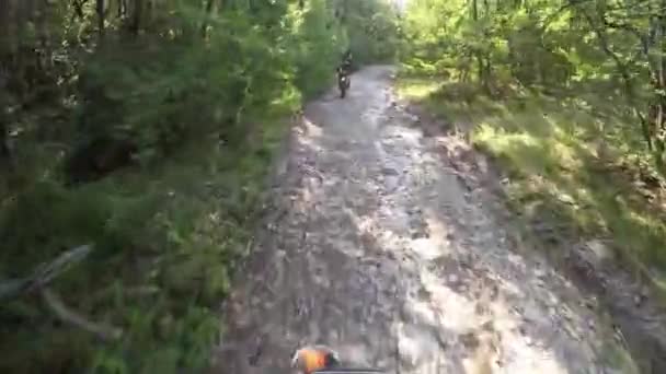 道路上のオートバイの秋 道路からの旅行オートバイ — ストック動画