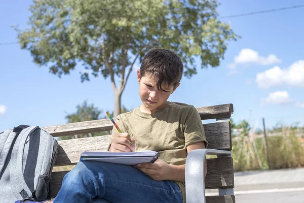 Portrét dospívající chlapce, který seděl dělat domácí úkoly — Stock fotografie