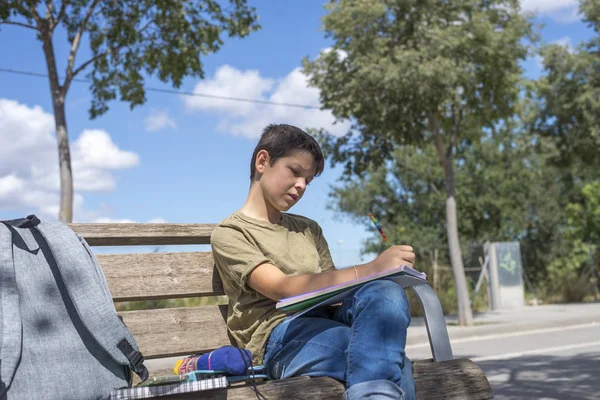 Porträt eines Teenagers, der seine Hausaufgaben macht — Stockfoto