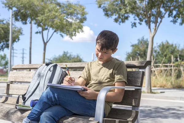 Porträt eines Teenagers, der seine Hausaufgaben macht — Stockfoto