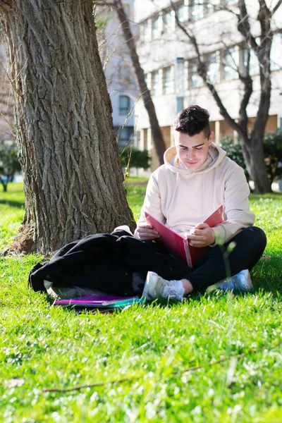 Teenager Sitzt Mit Buch Auf Dem Schulrasen — Stockfoto