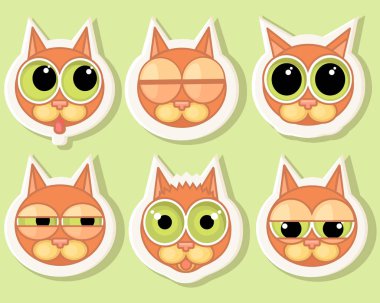 Sopa kedi için bir dizi farklı duyguları ile karşı karşıya.. 
