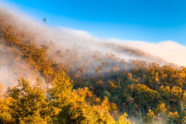 Sabah sis blue ridge parkway Dağ doruklarına sonbaharda engulfs.