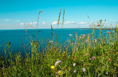 Beautiful landscape scenery cliff meadow, water and blue sky. Cape Andoma, Karelia, Russia. Natural background view. Text copy space.