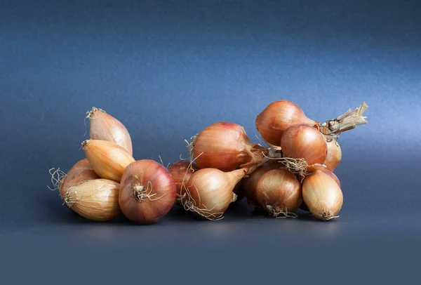 onion, composition, vegetable, still life