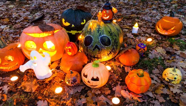 Halloween pompoenen in de tuin — Stockfoto