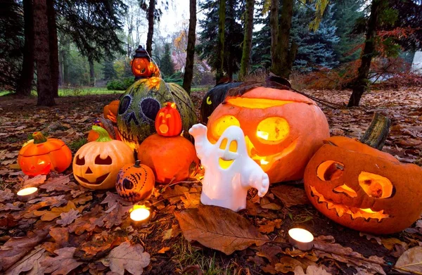 Calabazas de Halloween en el parque, escena de otoño —  Fotos de Stock