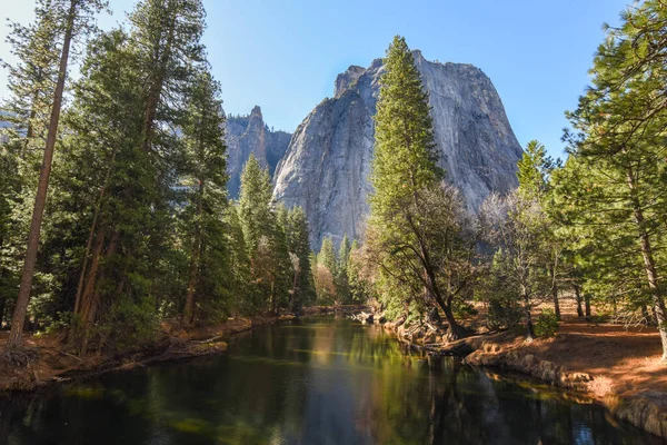 Merced Nehri boyunca ağaçlar.
