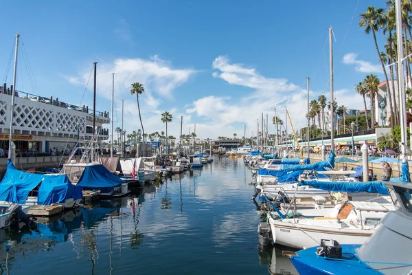 Fileiras Pequenos Barcos Atracados Marina Redondo Beach — Fotografia de Stock