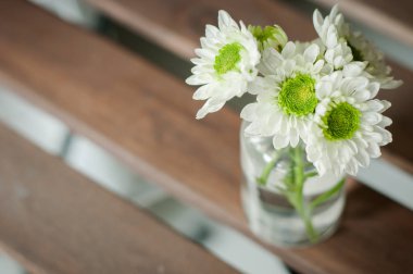 Masa örtüsü, güzel yeşil renk çiçek çiçek anneme