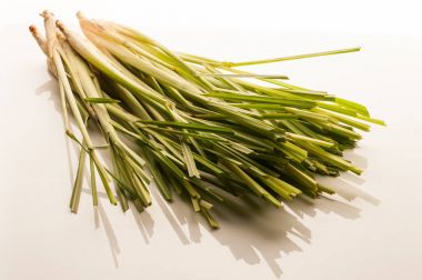 Beyaz arkaplanda limon otu