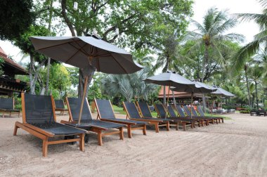 yataklar ve tropikal bir plajda şemsiye