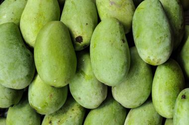 Grup Yeşil Mango, tropikal meyveler, Tayland