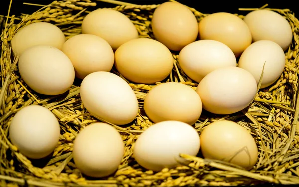 Tavuk yumurta sepeti / taze çiftçinin yumurta