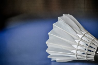 Badminton Servisi horoz Close-Up