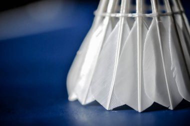 Badminton Servisi horoz Close-Up