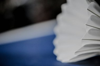 Badminton Servisi horoz Close-Up