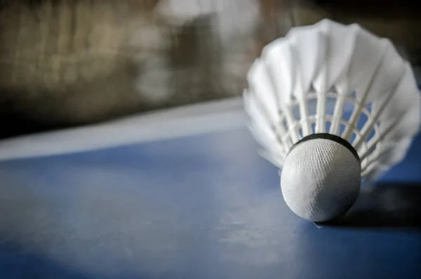 Detail Badminton Raketoplánu Kohout — Stock fotografie